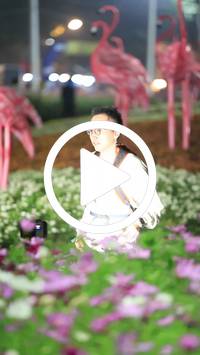 BIB:  <button type="button" onclick="openModal(27590946)" class="btn btn-primary btn-sm float-right" data-toggle="modal" data-target=".modal-high-quality">
                <i class="fa fa-download"></i> Download
                </button>